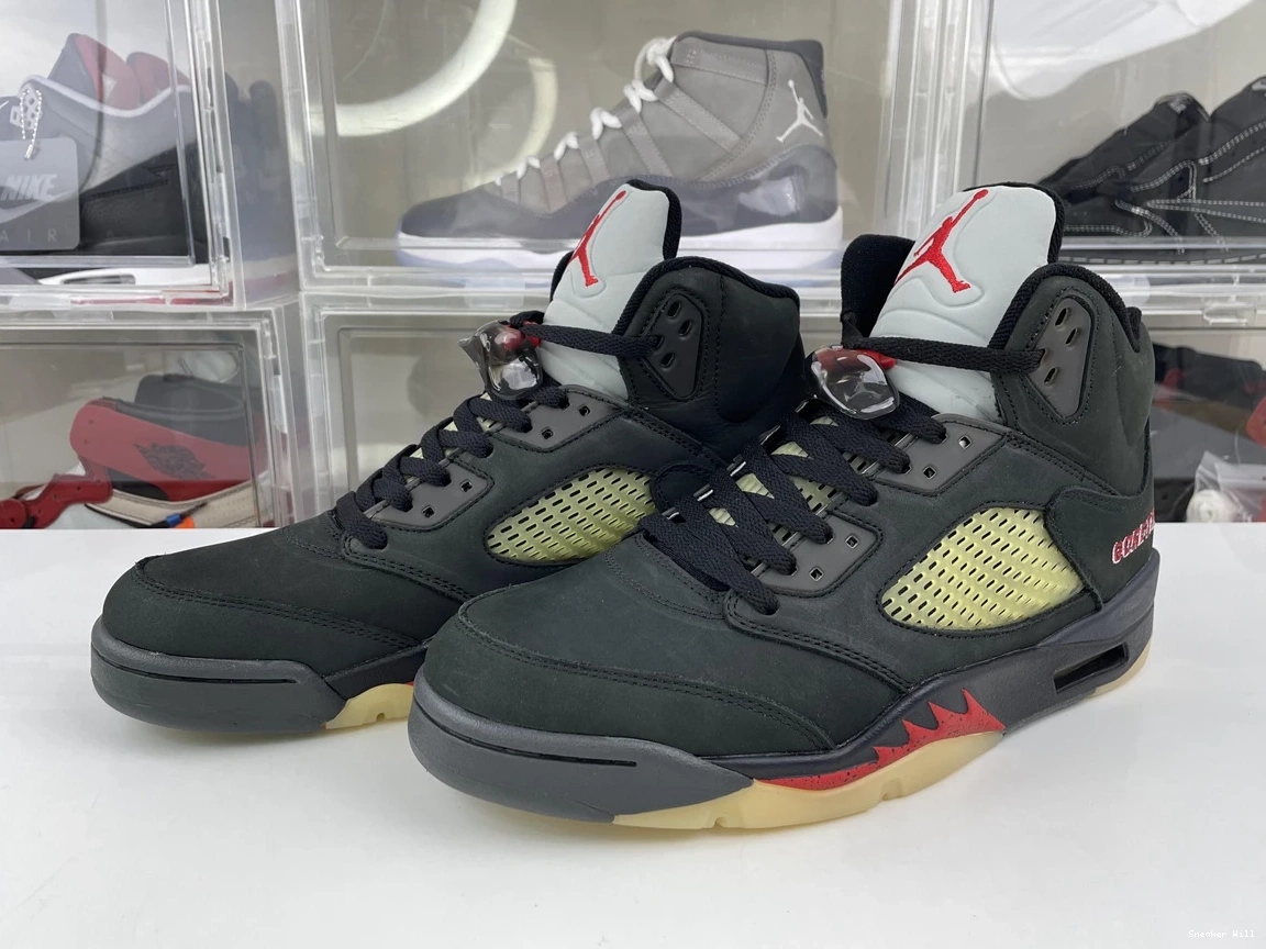 Jordan Fashionable 926 Air 5 Gore-Tex 0616